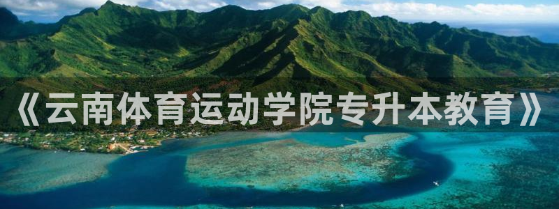 风速体育app下载官网最新版