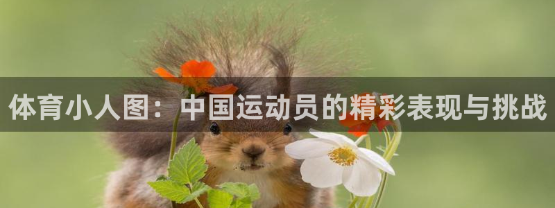 风速体育下载