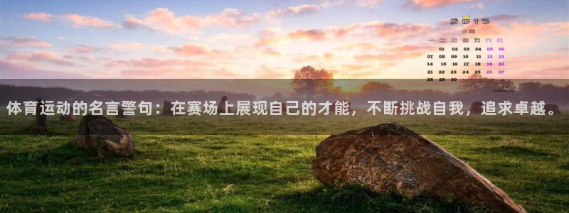 风速体育下载