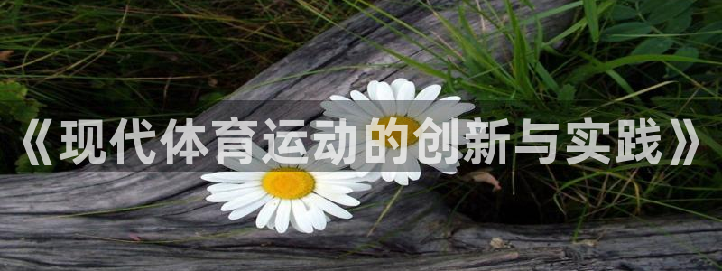 风速体育
