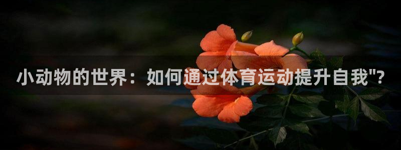风速体育app下载安装最新版本