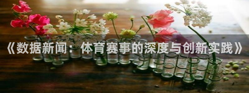 下载风速体育
