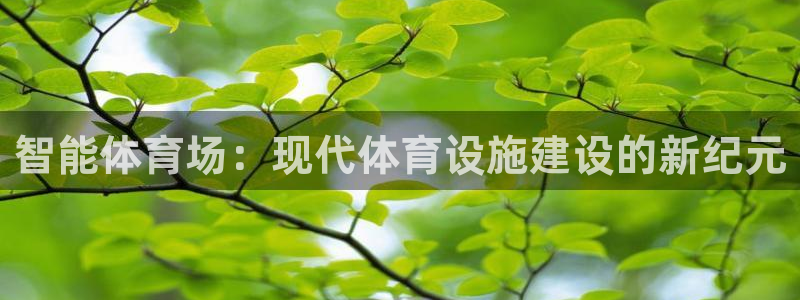 下载风速体育