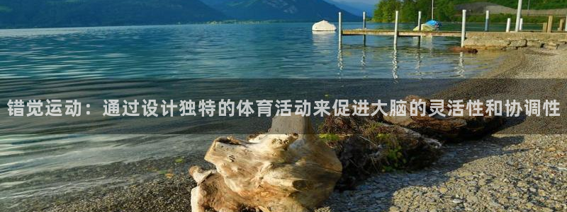 风速体育app下载官网最新版