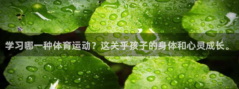风速体育下载