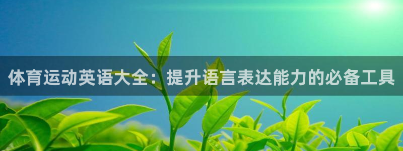 风速体育