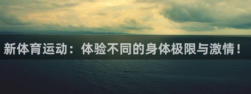 风速体育app下载官网最新版