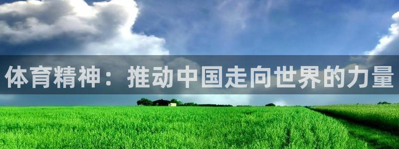 风速体育下载