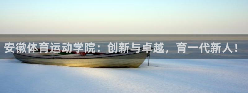 风速体育官网