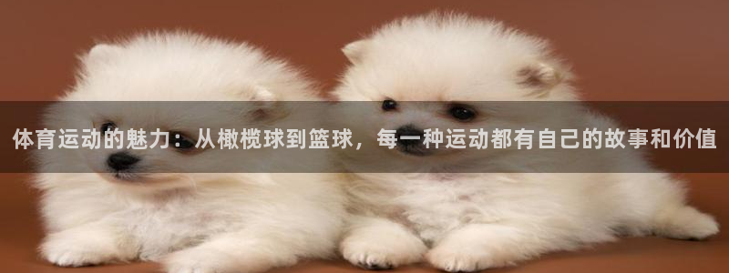 风速体育app